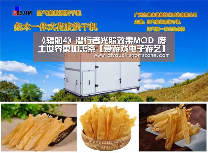 爱游戏综合娱乐平台